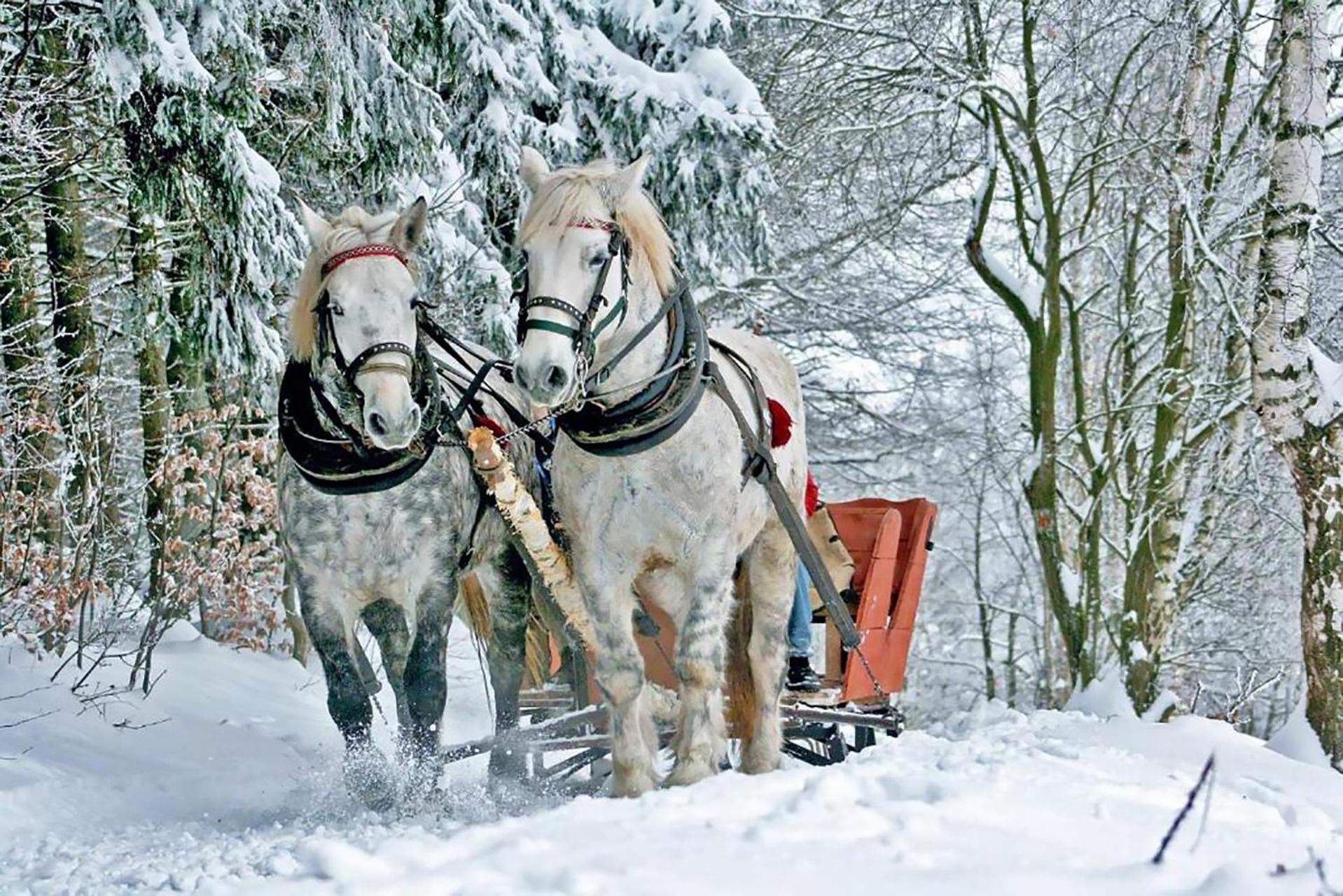 Gorska Osada Lovely Chalets Zakopane Poronin Dış mekan fotoğraf