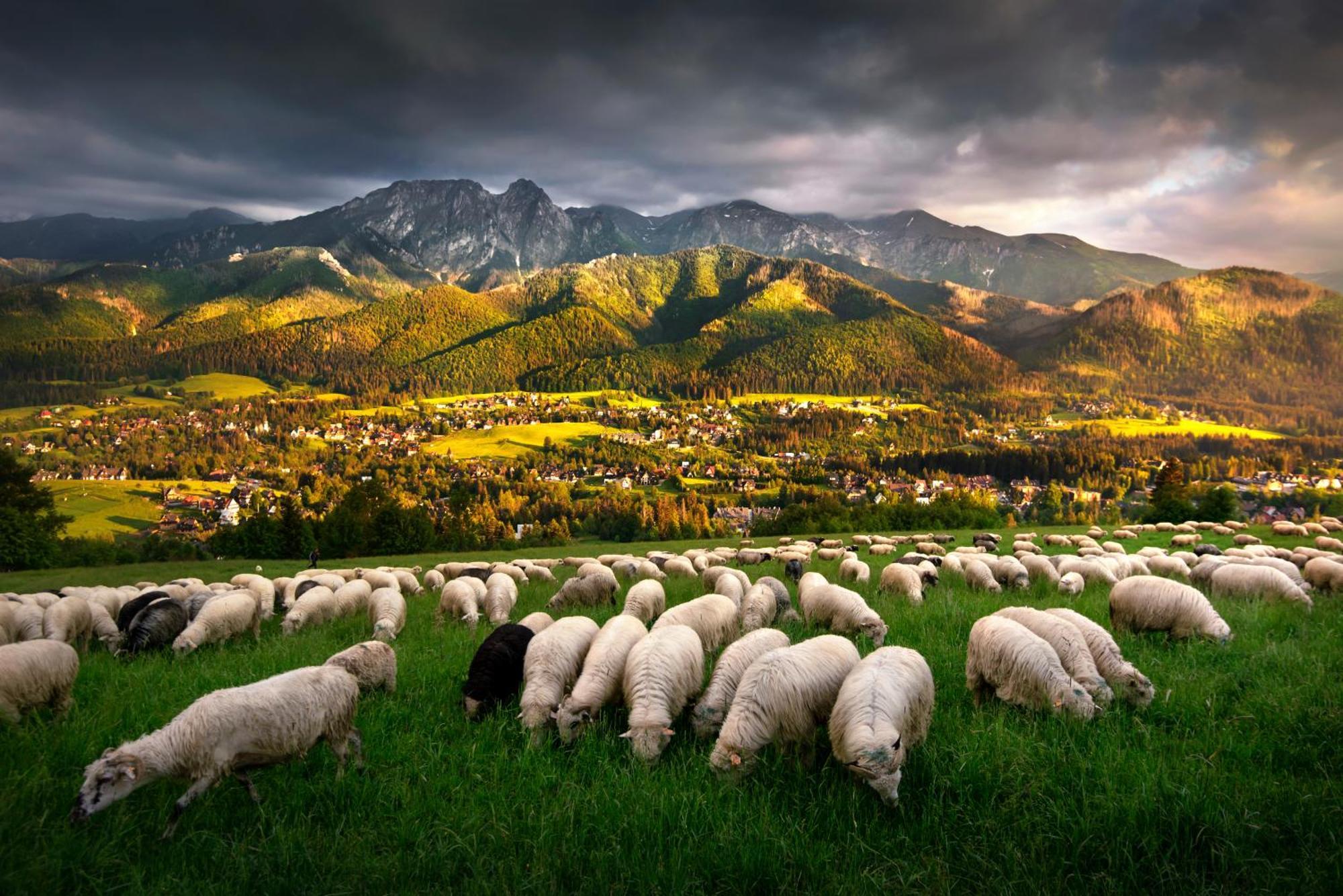 Gorska Osada Lovely Chalets Zakopane Poronin Dış mekan fotoğraf